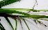  ( - BioBot01404)  @11 [ ] CreativeCommons - Attribution Non-Commercial Share-Alike (2010) Daniel H. Janzen Guanacaste Dry Forest Conservation Fund