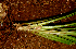  ( - BioBot01406)  @11 [ ] CreativeCommons - Attribution Non-Commercial Share-Alike (2010) Daniel H. Janzen Guanacaste Dry Forest Conservation Fund