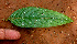 ( - BioBot01417)  @11 [ ] CreativeCommons - Attribution Non-Commercial Share-Alike (2010) Daniel H. Janzen Guanacaste Dry Forest Conservation Fund