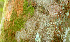  ( - BioBot01446)  @11 [ ] CreativeCommons - Attribution Non-Commercial Share-Alike (2010) Daniel H. Janzen Guanacaste Dry Forest Conservation Fund