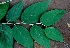  ( - BioBot01458)  @11 [ ] CreativeCommons - Attribution Non-Commercial Share-Alike (2010) Daniel H. Janzen Guanacaste Dry Forest Conservation Fund