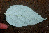  ( - BioBot01458)  @11 [ ] CreativeCommons - Attribution Non-Commercial Share-Alike (2010) Daniel H. Janzen Guanacaste Dry Forest Conservation Fund