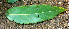  ( - BioBot01468)  @11 [ ] CreativeCommons - Attribution Non-Commercial Share-Alike (2010) Daniel H. Janzen Guanacaste Dry Forest Conservation Fund