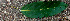  ( - BioBot01469)  @11 [ ] CreativeCommons - Attribution Non-Commercial Share-Alike (2010) Daniel H. Janzen Guanacaste Dry Forest Conservation Fund