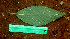  ( - BioBot01483)  @11 [ ] CreativeCommons - Attribution Non-Commercial Share-Alike (2010) Daniel H. Janzen Guanacaste Dry Forest Conservation Fund