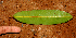  ( - BioBot01613)  @11 [ ] CreativeCommons - Attribution Non-Commercial Share-Alike (2010) Daniel H. Janzen Guanacaste Dry Forest Conservation Fund