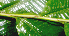  ( - BioBot01654)  @11 [ ] CreativeCommons - Attribution Non-Commercial Share-Alike (2010) Daniel H. Janzen Guanacaste Dry Forest Conservation Fund