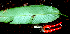  (Heliconia mathiasiae - BioBot01654)  @11 [ ] CreativeCommons - Attribution Non-Commercial Share-Alike (2010) Daniel H. Janzen Guanacaste Dry Forest Conservation Fund