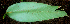  ( - BioBot01659)  @11 [ ] CreativeCommons - Attribution Non-Commercial Share-Alike (2010) Daniel H. Janzen Guanacaste Dry Forest Conservation Fund