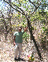  (Vachiella pennatula - BioBot01728)  @11 [ ] CreativeCommons - Attribution Non-Commercial Share-Alike (2010) Daniel H. Janzen Guanacaste Dry Forest Conservation Fund