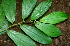  ( - BioBot01731)  @11 [ ] CreativeCommons - Attribution Non-Commercial Share-Alike (2010) Daniel H. Janzen Guanacaste Dry Forest Conservation Fund