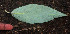  ( - BioBot01968)  @11 [ ] CreativeCommons - Attribution Non-Commercial Share-Alike (2010) Daniel H. Janzen Guanacaste Dry Forest Conservation Fund