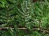  ( - BioBot02282)  @11 [ ] CreativeCommons - Attribution Non-Commercial Share-Alike (2010) Daniel H. Janzen Guanacaste Dry Forest Conservation Fund