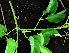  ( - BioBot02415)  @11 [ ] CreativeCommons - Attribution Non-Commercial Share-Alike (2010) Daniel H. Janzen Guanacaste Dry Forest Conservation Fund
