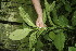  ( - BioBot05004)  @11 [ ] Copyright (2010) Unspecified Unspecified