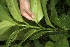  ( - BioBot05004)  @11 [ ] Copyright (2010) Unspecified Unspecified