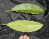  ( - BioBot05005)  @11 [ ] Copyright (2010) Unspecified Unspecified