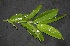  ( - BioBot05006)  @11 [ ] Copyright (2010) Unspecified Unspecified