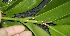  ( - BioBot05006)  @11 [ ] Copyright (2010) Unspecified Unspecified