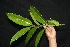  ( - BioBot05006)  @11 [ ] Copyright (2010) Unspecified Unspecified