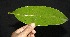  ( - BioBot05006)  @11 [ ] Copyright (2010) Unspecified Unspecified