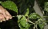  ( - BioBot05012)  @11 [ ] Copyright (2010) Unspecified Unspecified