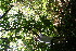  ( - BioBot05012)  @11 [ ] Copyright (2010) Unspecified Unspecified