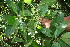  ( - BioBot05012)  @11 [ ] Copyright (2010) Unspecified Unspecified