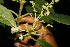  ( - BioBot05012)  @11 [ ] Copyright (2010) Unspecified Unspecified