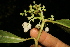  ( - BioBot05012)  @11 [ ] Copyright (2010) Unspecified Unspecified