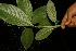  ( - BioBot05012)  @11 [ ] Copyright (2010) Unspecified Unspecified