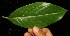  ( - BioBot05012)  @11 [ ] Copyright (2010) Unspecified Unspecified