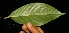  ( - BioBot05012)  @11 [ ] Copyright (2010) Unspecified Unspecified