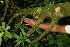  ( - BioBot05012)  @11 [ ] Copyright (2010) Unspecified Unspecified