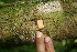  ( - BioBot05012)  @11 [ ] Copyright (2010) Unspecified Unspecified
