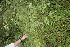  ( - BioBot05022)  @11 [ ] Copyright (2010) Unspecified Unspecified