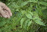  ( - BioBot05022)  @11 [ ] Copyright (2010) Unspecified Unspecified