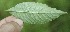  ( - BioBot05022)  @11 [ ] Copyright (2010) Unspecified Unspecified