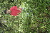  ( - BioBot05023)  @11 [ ] Copyright (2010) Unspecified Unspecified