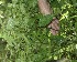  ( - BioBot05023)  @11 [ ] Copyright (2010) Unspecified Unspecified