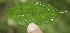  ( - BioBot05023)  @11 [ ] Copyright (2010) Unspecified Unspecified