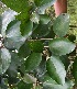  ( - BioBot05034)  @11 [ ] Copyright (2010) Unspecified Unspecified