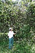  ( - BioBot05045)  @11 [ ] Copyright (2010) Unspecified Unspecified
