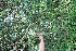  ( - BioBot05045)  @11 [ ] Copyright (2010) Unspecified Unspecified
