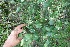  ( - BioBot05045)  @11 [ ] Copyright (2010) Unspecified Unspecified