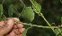  ( - BioBot05045)  @11 [ ] Copyright (2010) Unspecified Unspecified