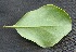  ( - BioBot05045)  @11 [ ] Copyright (2010) Unspecified Unspecified