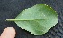  ( - BioBot05045)  @11 [ ] Copyright (2010) Unspecified Unspecified