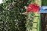  ( - BioBot05046)  @11 [ ] Copyright (2010) Unspecified Unspecified