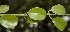  ( - BioBot05046)  @11 [ ] Copyright (2010) Unspecified Unspecified